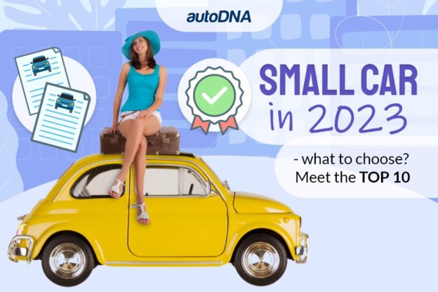 Small car in 2023 top 10 rank autodna