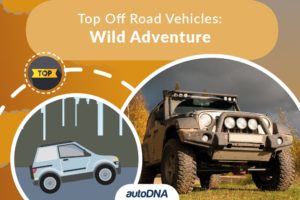 Top Off Road Vehicles Wild Adventure